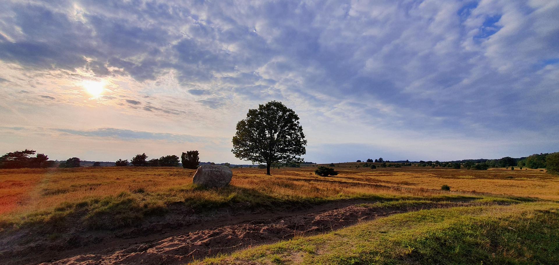 Barrierefreies Joomla Template - Out of the box